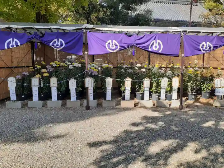 道明寺天満宮(大阪府)