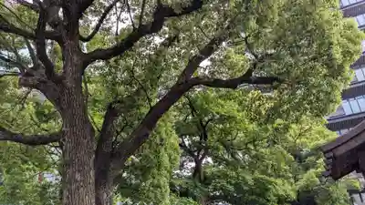 今益稲荷神社の自然