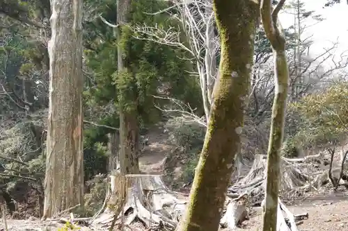 玉置神社(奈良県)