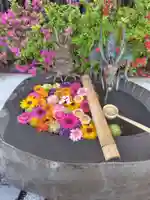 駒込妙義神社(東京都)