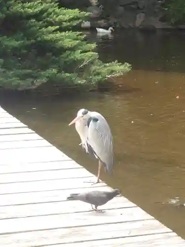 平塚八幡宮(神奈川県)