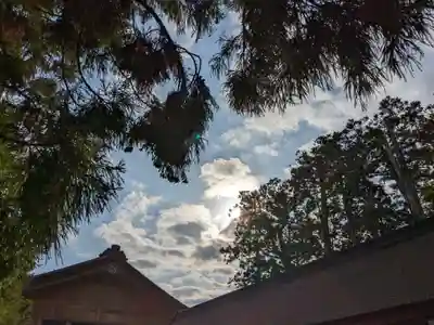 出雲大社(島根県)