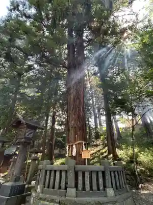 諏訪大社下社春宮(長野県)