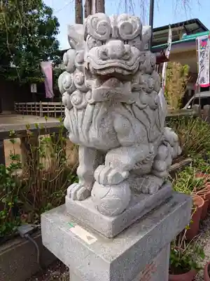 川越八幡宮の狛犬