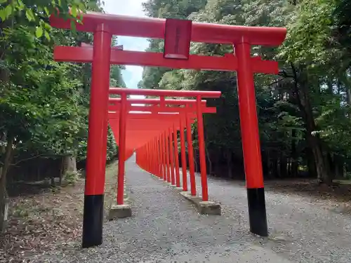 南宮稲荷大明神の鳥居