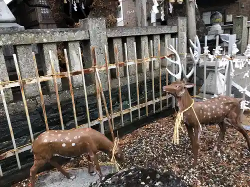 四所神社の狛犬