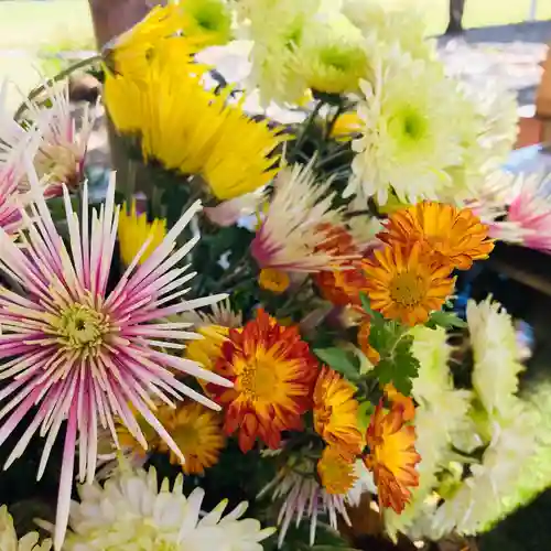 高司神社〜むすびの神の鎮まる社〜の手水舎