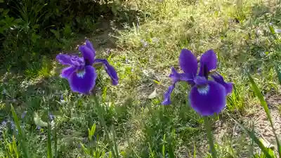 歌泉堂(春日大社神苑萬葉植物園内鎮座)(奈良県)
