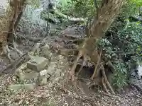 舎那院の{uncategorized: "未分類", other: "その他", undefined: "問題あり", building: "その他建物", grave: "お墓", sacred_gate: "鳥居", guardian: "狛犬", statue: "像", buddha: "仏像", history: "歴史", nature: "自然", garden: "庭園", animal: "動物", pagoda: "塔", temizu: "手水舎", mountain_gate: "山門・神門", sanctuary: "本殿・本堂", subordinate: "末社・摂社", art: "芸術", scenery: "景色", jizo: "地蔵", ema: "絵馬", goshuin: "御朱印", omikuji: "おみくじ", items: "授与品その他", amulet: "お守り", goshuincho: "御朱印帳", eats: "食事", festival: "お祭り", votive_dance: "神楽", shichigosan: "七五三参", wedding: "結婚式", experience: "体験その他", initially: "初詣", around: "周辺", anti_infection: "感染症対策"}