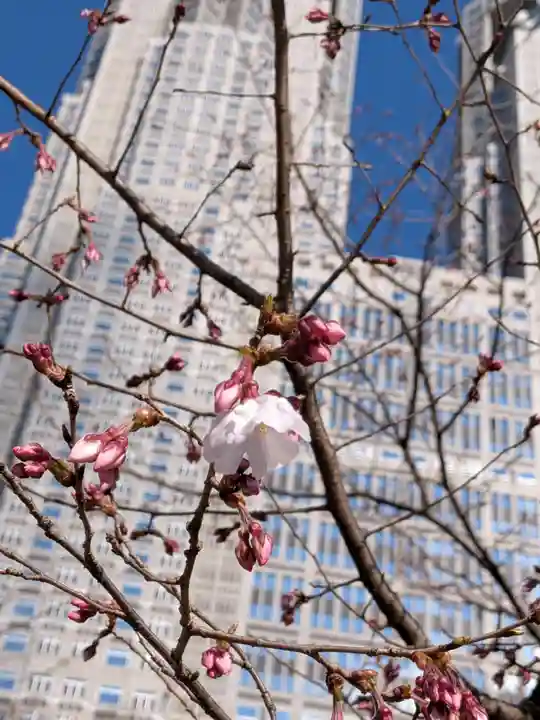 熊野神社(東京都)