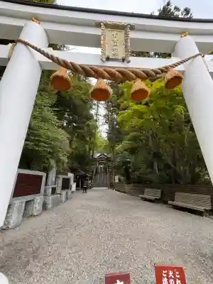宝登山神社(埼玉県)