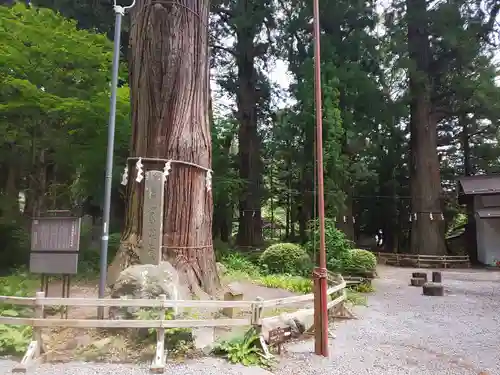 河口浅間神社の庭園