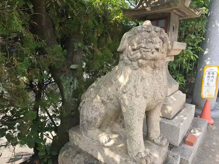 大江神社の狛犬