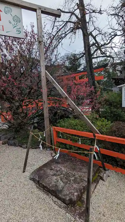 賀茂御祖神社(下鴨神社)(京都府)