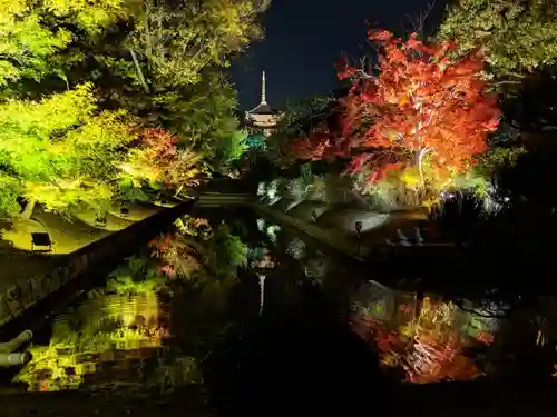 東寺（教王護国寺）の庭園