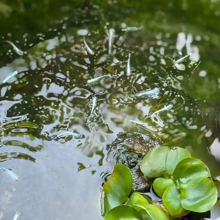 伊勢の国 四天王寺(三重県)