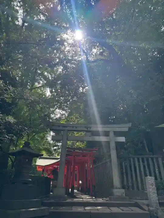 乙女稲荷神社(東京都)