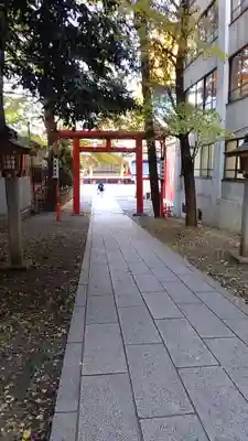 花園神社の鳥居