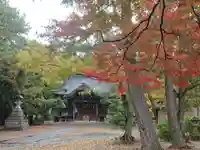 三嶋神社の本殿・本堂