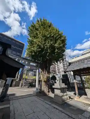 柏神社(千葉県)