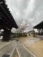 誓福寺(兵庫県)