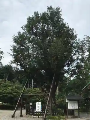 天宮神社の自然