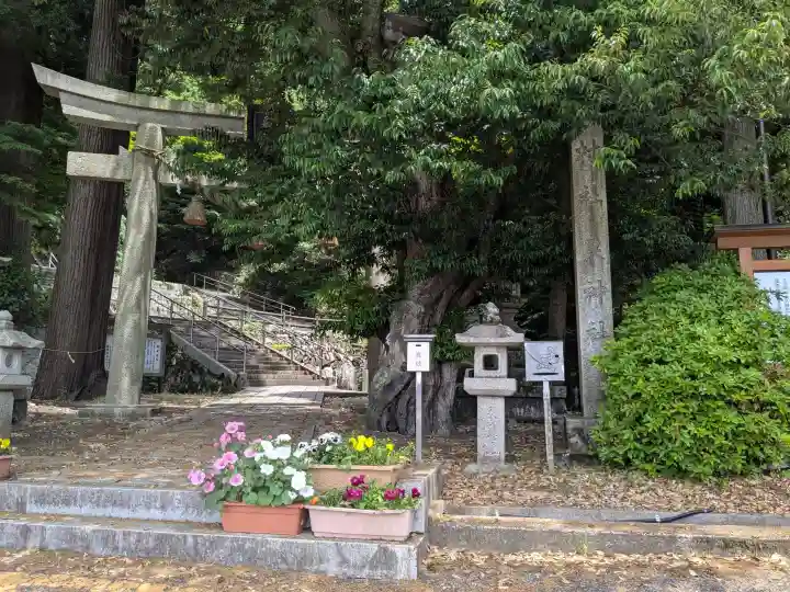 泉神社の{uncategorized: "未分類", other: "その他", undefined: "問題あり", building: "その他建物", grave: "お墓", sacred_gate: "鳥居", guardian: "狛犬", statue: "像", buddha: "仏像", history: "歴史", nature: "自然", garden: "庭園", animal: "動物", pagoda: "塔", temizu: "手水舎", mountain_gate: "山門・神門", sanctuary: "本殿・本堂", subordinate: "末社・摂社", art: "芸術", scenery: "景色", jizo: "地蔵", ema: "絵馬", goshuin: "御朱印", omikuji: "おみくじ", items: "授与品その他", amulet: "お守り", goshuincho: "御朱印帳", eats: "食事", festival: "お祭り", votive_dance: "神楽", shichigosan: "七五三参", wedding: "結婚式", experience: "体験その他", initially: "初詣", around: "周辺", anti_infection: "感染症対策"}