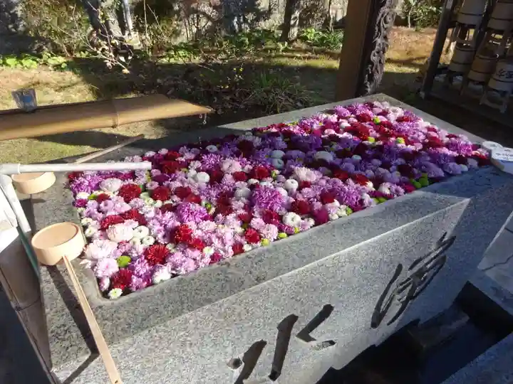 横浜 西方寺の手水舎