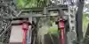 熊野神社(神奈川県)