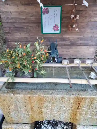 星宮神社(栃木県)