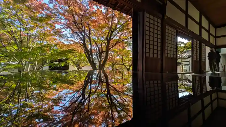 妙覺寺(妙覚寺)(京都府)