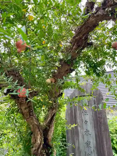 大雄寺(東京都)