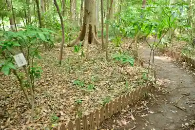 氷川女體神社(埼玉県)