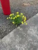 水無山神神社の自然