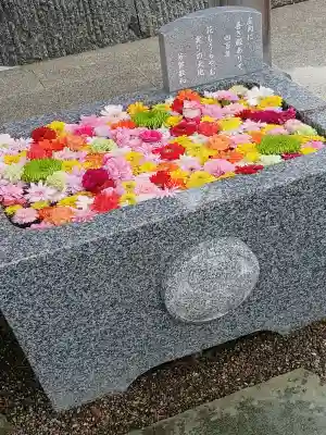 荘内神社の{uncategorized: "未分類", other: "その他", undefined: "問題あり", building: "その他建物", grave: "お墓", sacred_gate: "鳥居", guardian: "狛犬", statue: "像", buddha: "仏像", history: "歴史", nature: "自然", garden: "庭園", animal: "動物", pagoda: "塔", temizu: "手水舎", mountain_gate: "山門・神門", sanctuary: "本殿・本堂", subordinate: "末社・摂社", art: "芸術", scenery: "景色", jizo: "地蔵", ema: "絵馬", goshuin: "御朱印", omikuji: "おみくじ", items: "授与品その他", amulet: "お守り", goshuincho: "御朱印帳", eats: "食事", festival: "お祭り", votive_dance: "神楽", shichigosan: "七五三参", wedding: "結婚式", experience: "体験その他", initially: "初詣", around: "周辺", anti_infection: "感染症対策"}