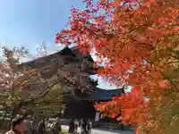 南禅寺の山門・神門