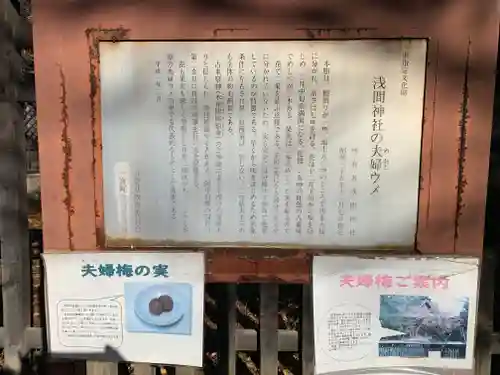 甲斐國一宮 浅間神社(山梨県)