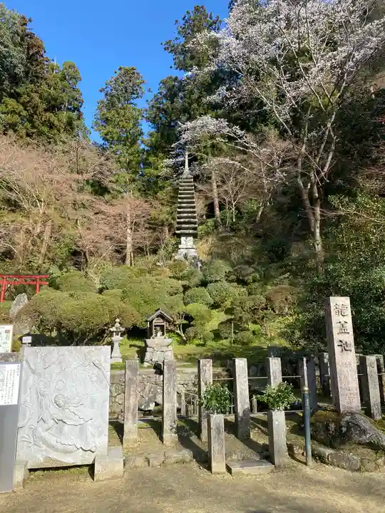 岡寺(龍蓋寺)(奈良県)