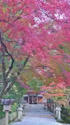 大田神社（賀茂別雷神社境外摂社）のその他建物