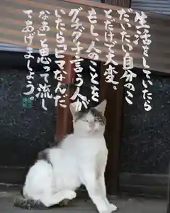 専念寺(大阪府)(2022年10月15日(土) 19時49分48秒投稿)