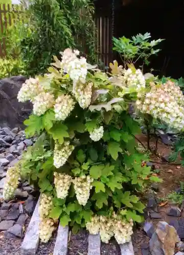 光明院(東京都)