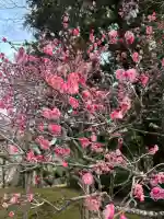 成田山平和大塔の{uncategorized: "未分類", other: "その他", undefined: "問題あり", building: "その他建物", grave: "お墓", sacred_gate: "鳥居", guardian: "狛犬", statue: "像", buddha: "仏像", history: "歴史", nature: "自然", garden: "庭園", animal: "動物", pagoda: "塔", temizu: "手水舎", mountain_gate: "山門・神門", sanctuary: "本殿・本堂", subordinate: "末社・摂社", art: "芸術", scenery: "景色", jizo: "地蔵", ema: "絵馬", goshuin: "御朱印", omikuji: "おみくじ", items: "授与品その他", amulet: "お守り", goshuincho: "御朱印帳", eats: "食事", festival: "お祭り", votive_dance: "神楽", shichigosan: "七五三参", wedding: "結婚式", experience: "体験その他", initially: "初詣", around: "周辺", anti_infection: "感染症対策"}