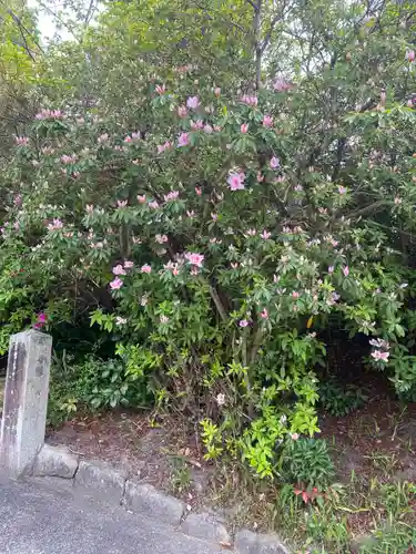 伊賀八幡宮(愛知県)