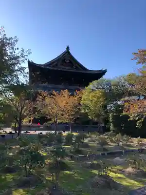 東寺(教王護国寺)の本殿・本堂