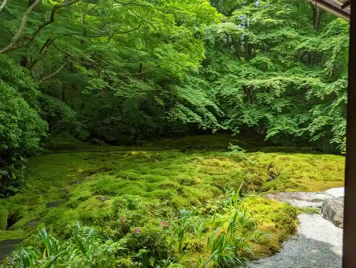 光明寺瑠璃光院(京都府)