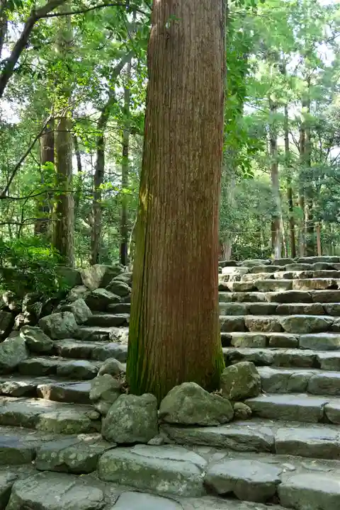 伊勢神宮内宮(皇大神宮)の自然