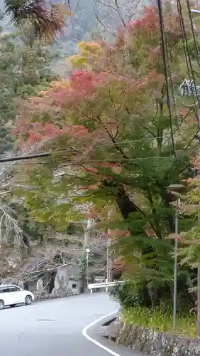 日蓮宗 総本山 塔頭 定林坊(じょうりんぼう)の周辺