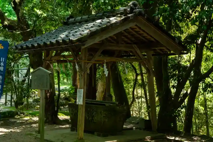 日本唯一香辛料の神 波自加彌神社(石川県)