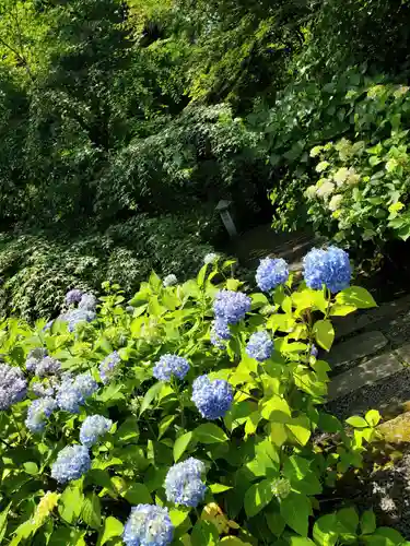 石都々古和気神社(福島県)