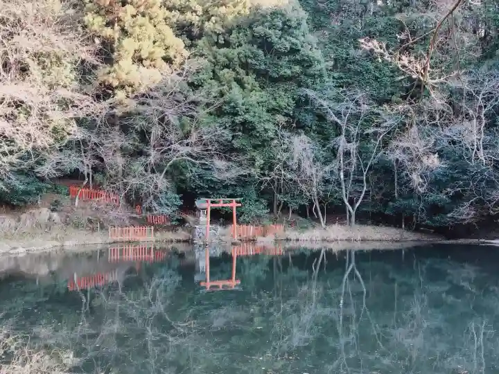八大龍王弁財天大神の{uncategorized: "未分類", other: "その他", undefined: "問題あり", building: "その他建物", grave: "お墓", sacred_gate: "鳥居", guardian: "狛犬", statue: "像", buddha: "仏像", history: "歴史", nature: "自然", garden: "庭園", animal: "動物", pagoda: "塔", temizu: "手水舎", mountain_gate: "山門・神門", sanctuary: "本殿・本堂", subordinate: "末社・摂社", art: "芸術", scenery: "景色", jizo: "地蔵", ema: "絵馬", goshuin: "御朱印", omikuji: "おみくじ", items: "授与品その他", amulet: "お守り", goshuincho: "御朱印帳", eats: "食事", festival: "お祭り", votive_dance: "神楽", shichigosan: "七五三参", wedding: "結婚式", experience: "体験その他", initially: "初詣", around: "周辺", anti_infection: "感染症対策"}